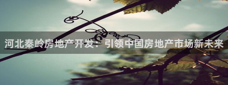 万向娱乐平台代理