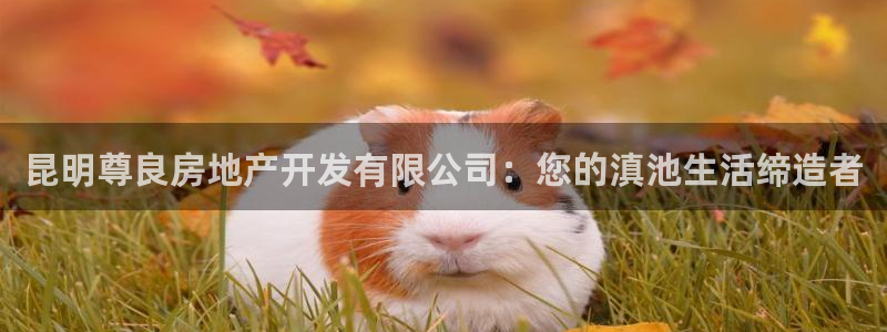 万向娱乐公司官网电话