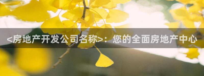 万向娱乐平台代理怎么做