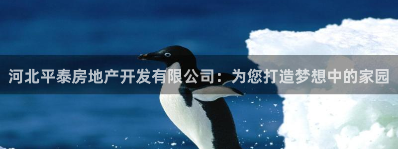 万向娱乐的494o3 主管