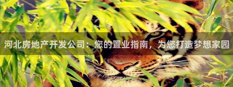 万向娱乐官网网址大全