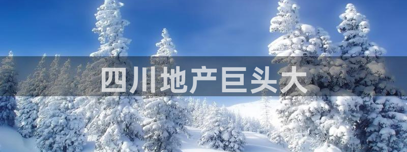 万向娱乐怎么样