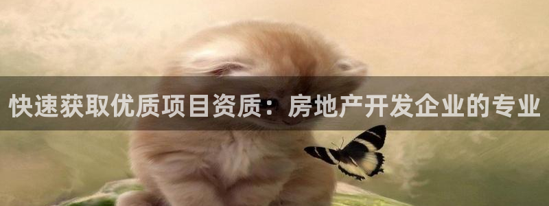 万向娱乐技术
