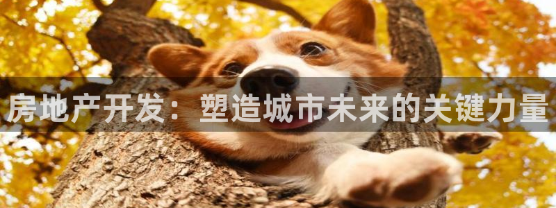 万向娱乐挂机