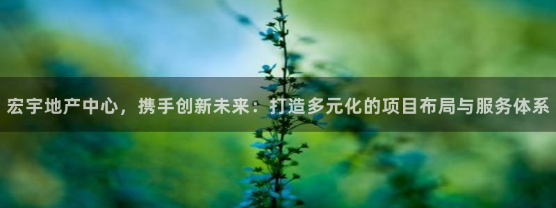 万向娱乐的494o3 主管