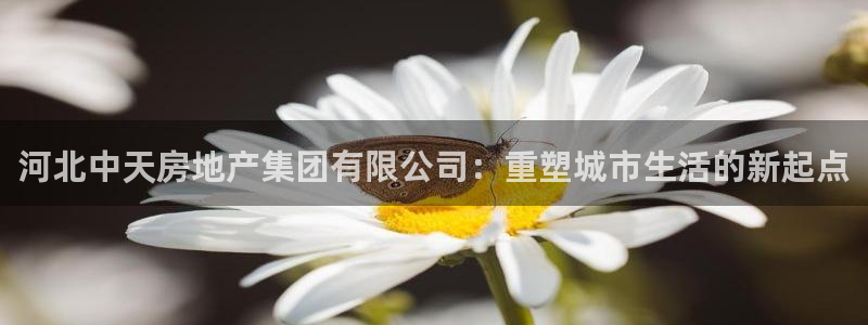 万向娱乐官网网址大全