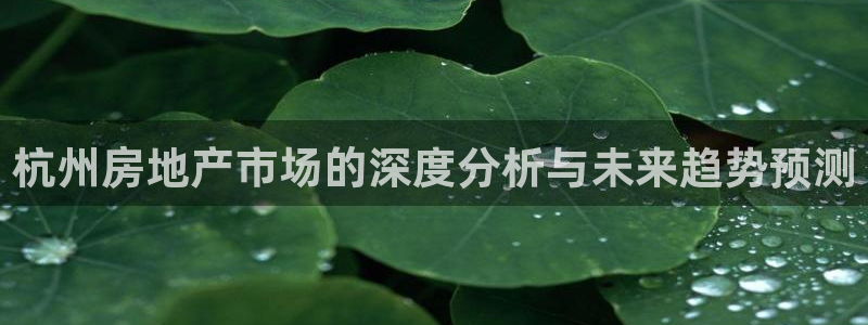 万向娱乐公司 585.34I 娱乐